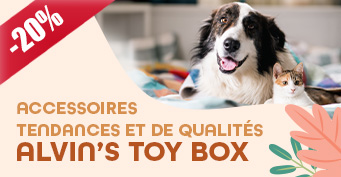-20% Alvin's toy box